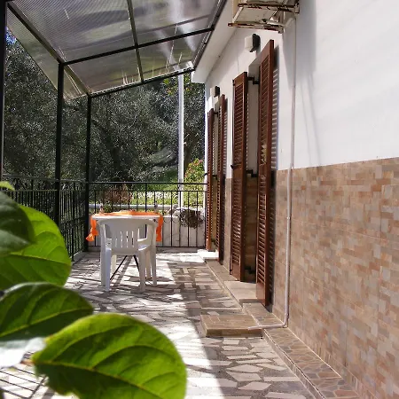 Regina * バルバティ